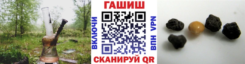 ГАШ Premium Грязовец