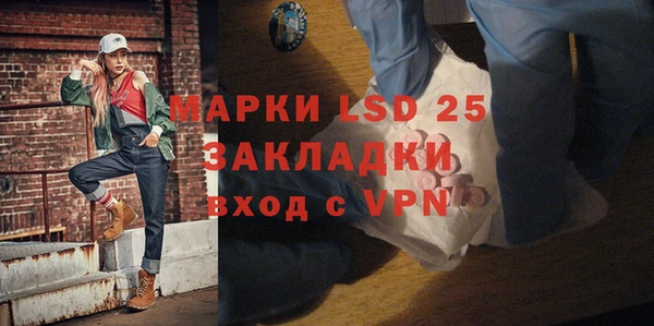 гашик Семилуки