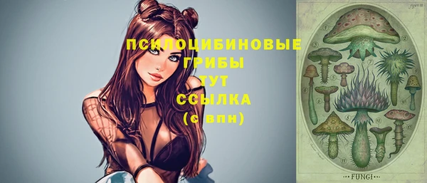мескалин Инсар