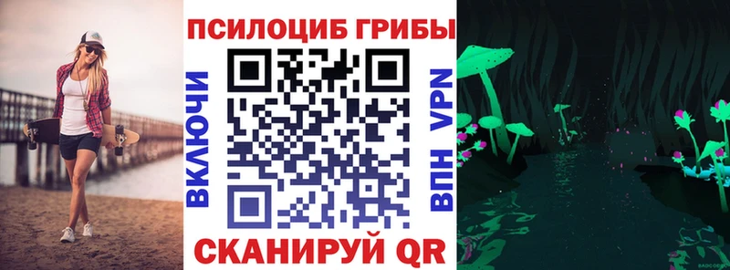 Купить закладки Грязовец Псилоцибиновые грибы MAGIC MUSHROOMS